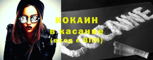 трава Новокубанск