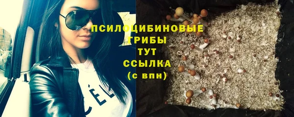 гашик Нязепетровск