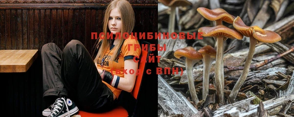 мефедрон мука Новозыбков