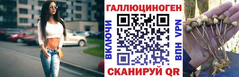 Псилоцибиновые грибы мухоморы Кодинск