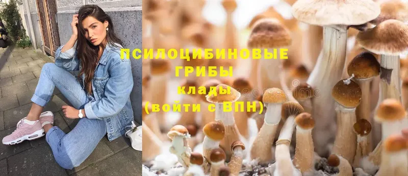 Псилоцибиновые грибы ЛСД  Кодинск 