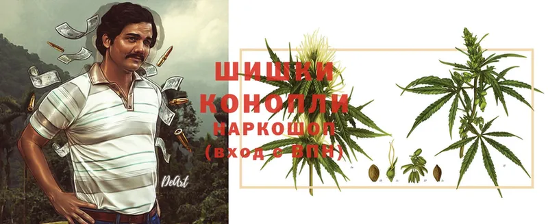 где найти наркотики  Кодинск  Каннабис White Widow 