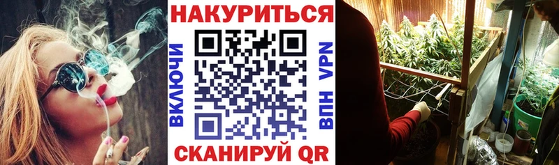 Бошки Шишки SATIVA & INDICA  shop наркотические препараты  Кодинск 